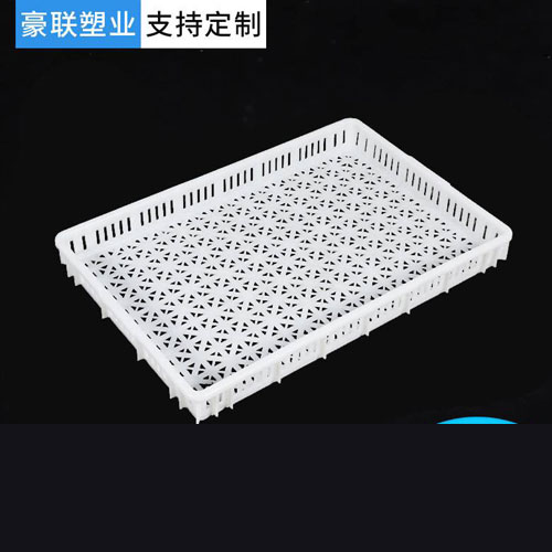 塑料大眼冷冻盘
